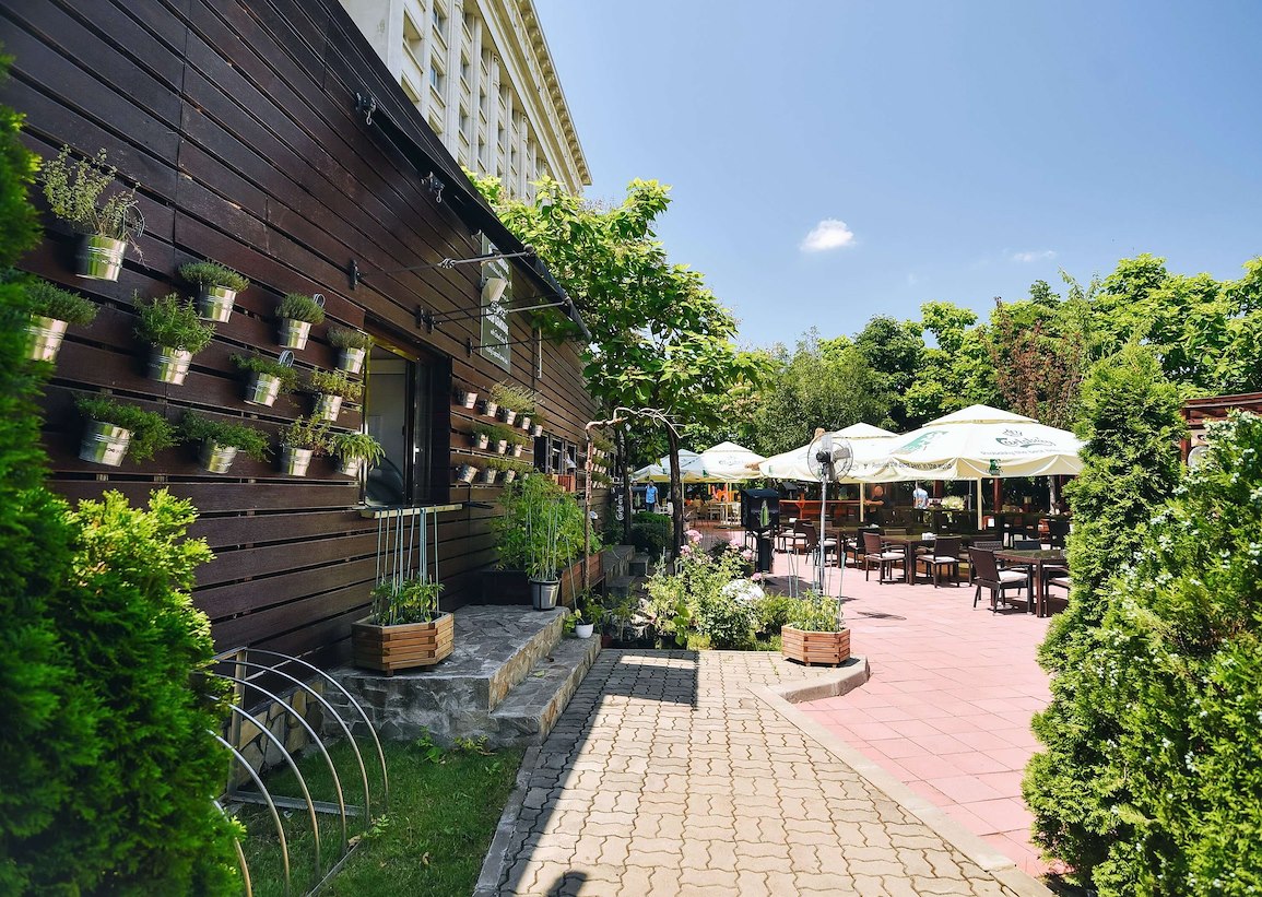 the-garden